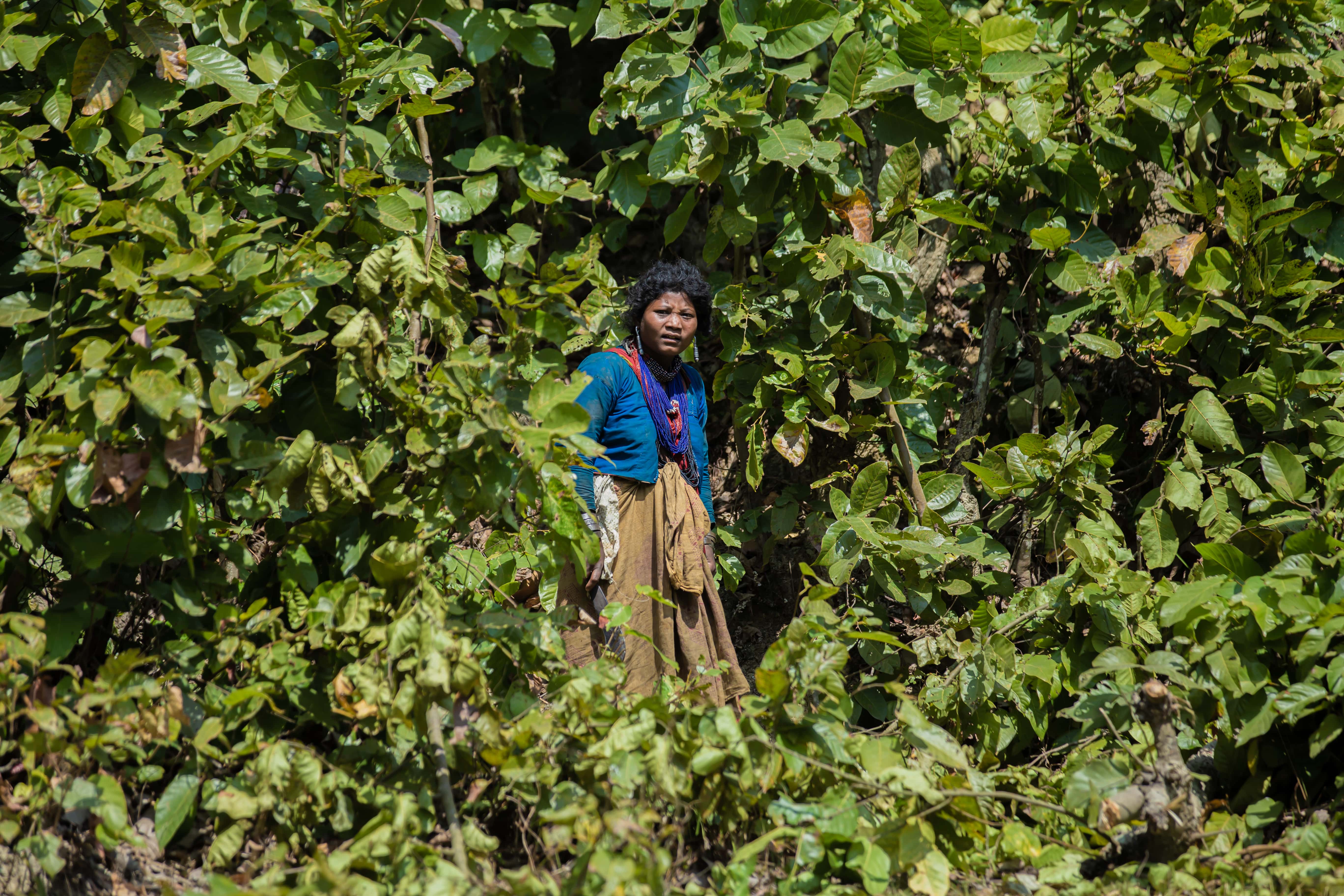 Raute Nomad Experience in Nepal